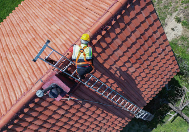 Best Roof Ventilation Installation  in Chinle, AZ