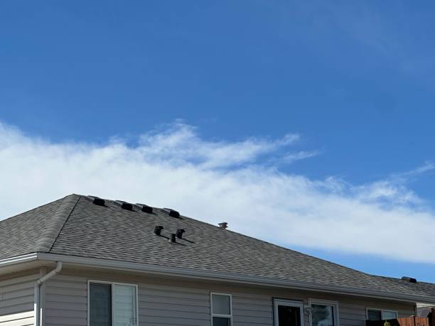 Best Metal Roofing Installation  in Chinle, AZ